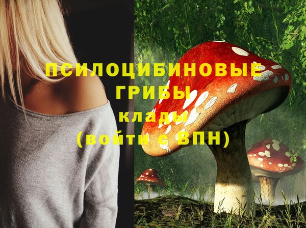 МДПВ Абинск