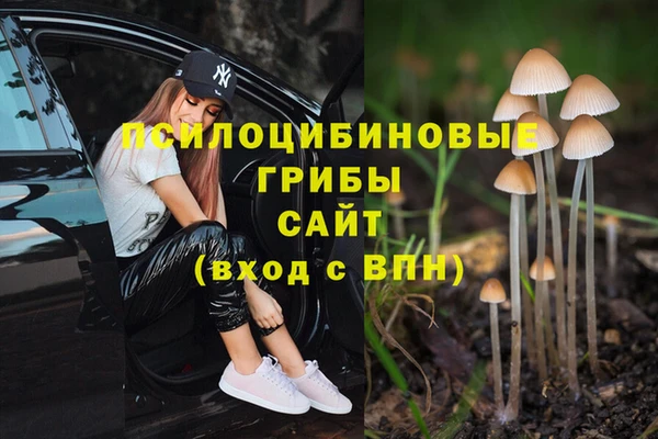 МДПВ Абинск