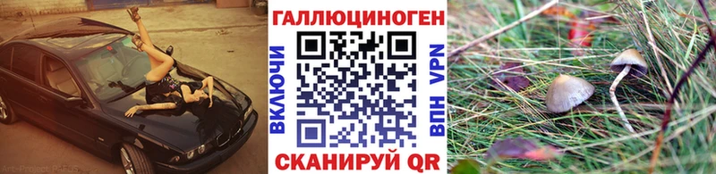 дарк нет наркотические препараты  Чухлома  Псилоцибиновые грибы прущие грибы 
